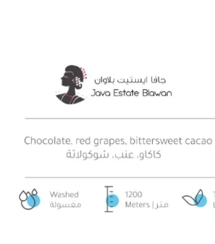 Screenshot 2025-02-15 141118